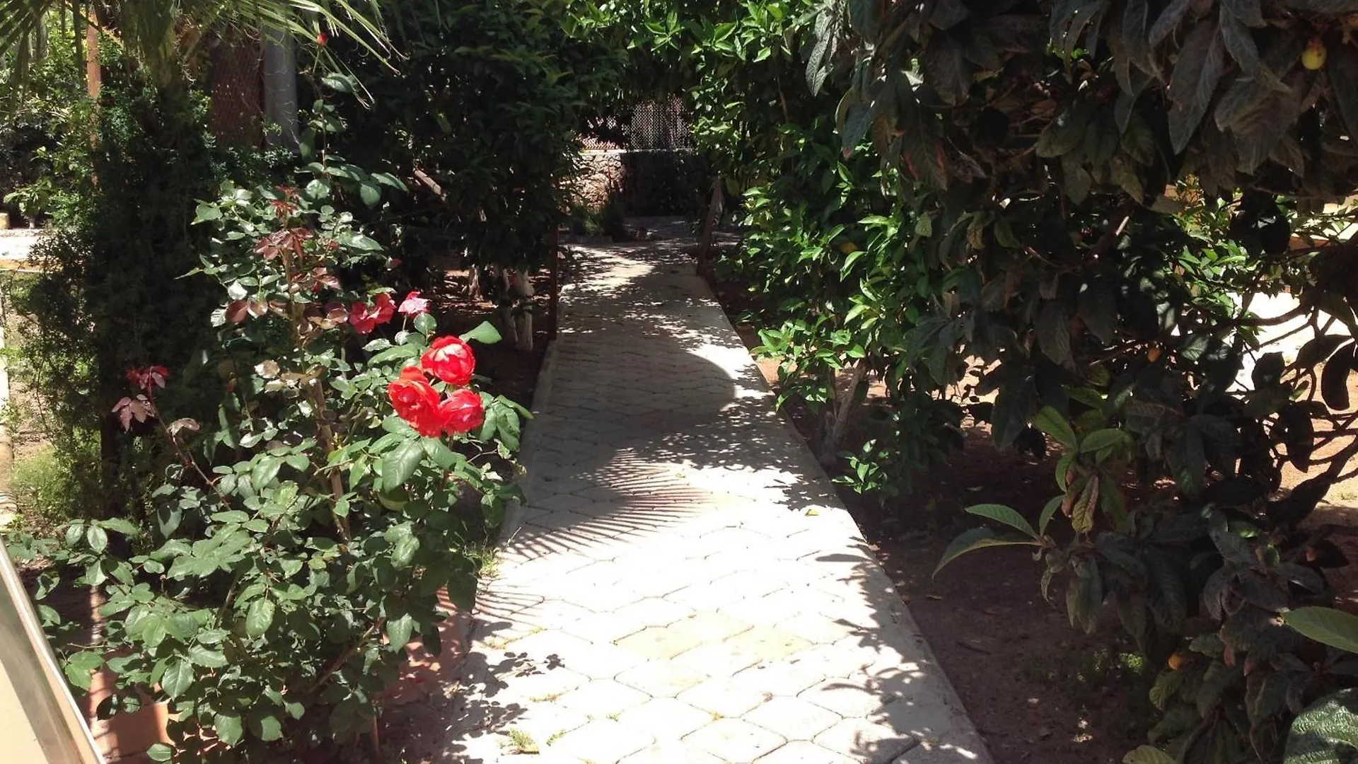 Ilkiz Beach Hotel Oludeniz