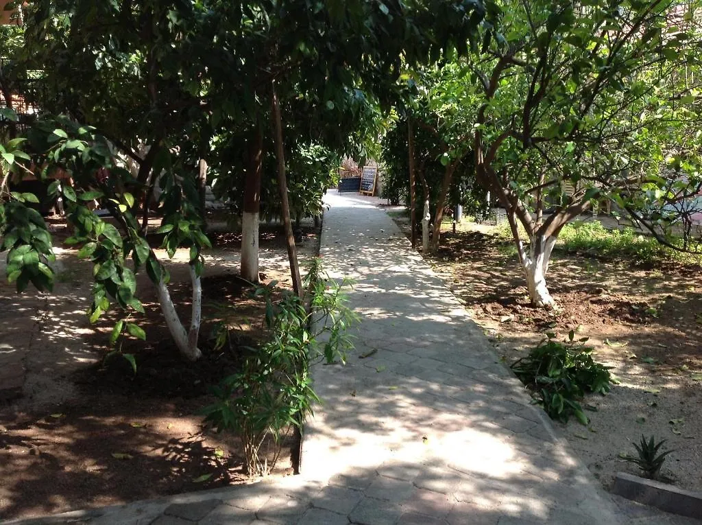 Ilkiz Beach Hotel Oludeniz